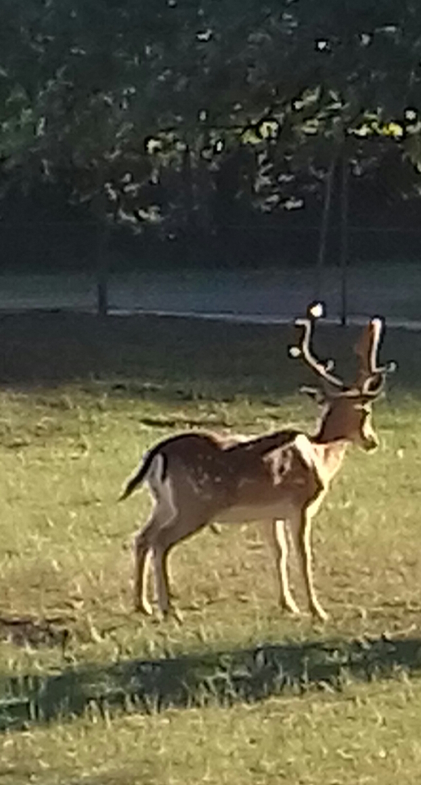 Photo n° 2 de l'avis de J-Marc.U fait le 09/07/2019 à 18:40