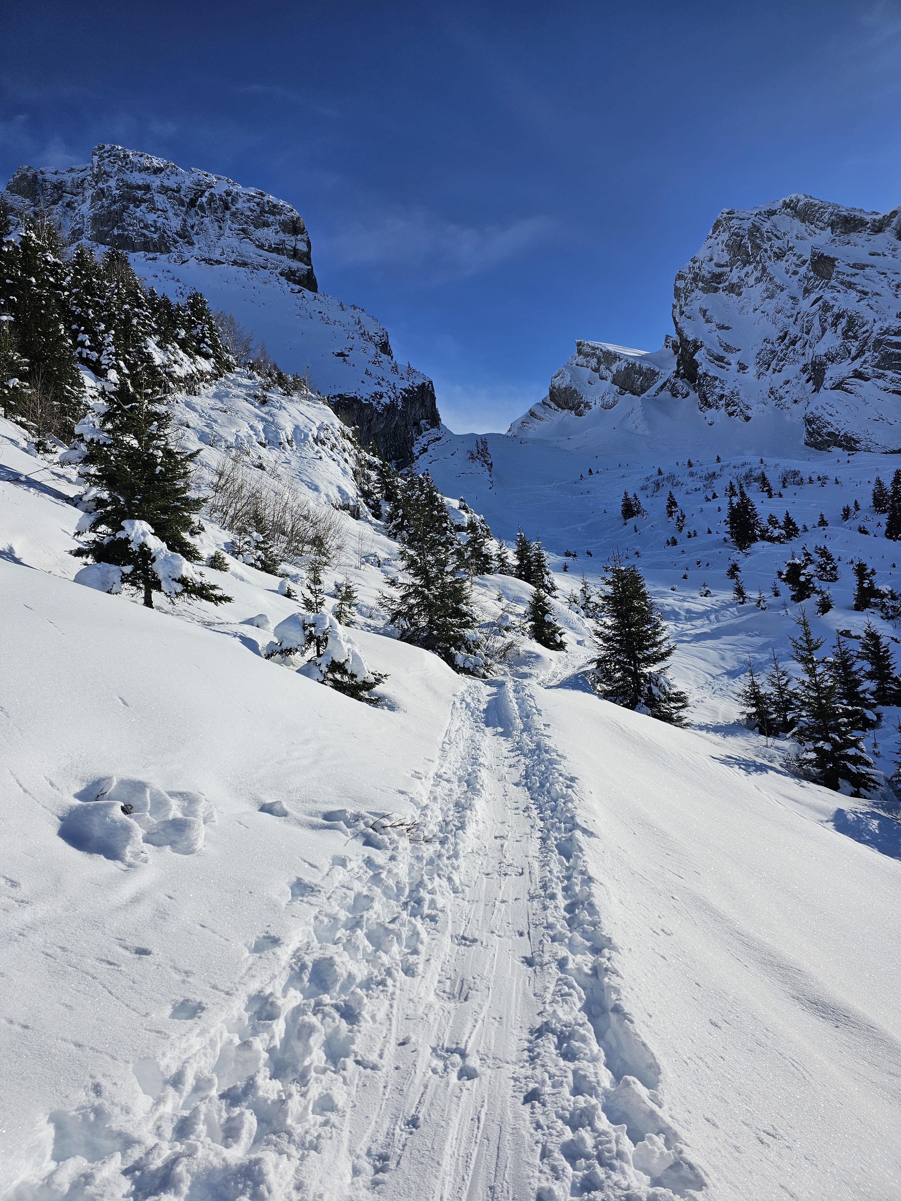 Photo n° 1 de l'avis de C.a fait le 21/01/2024 à 13:40