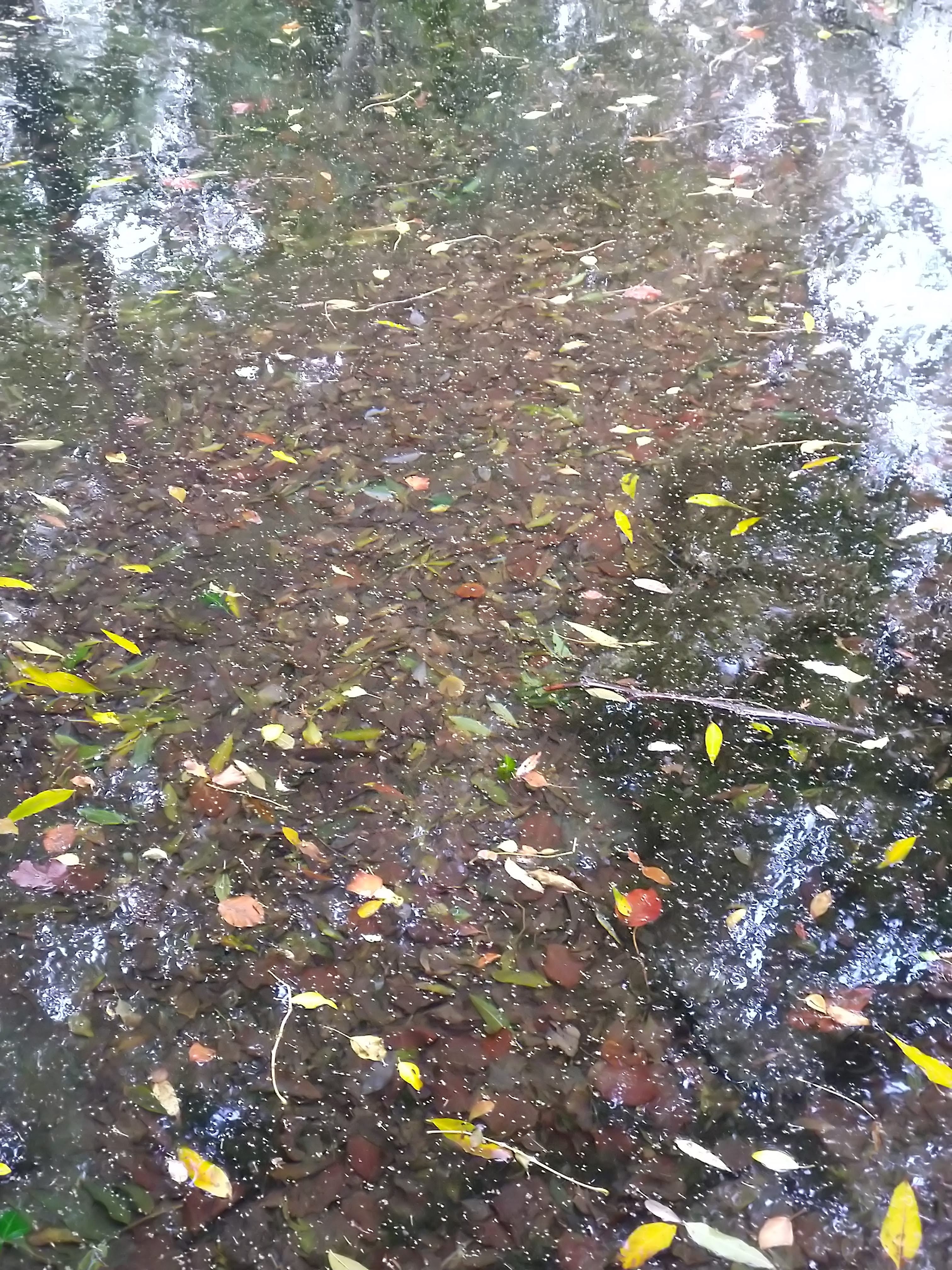 Photo n° 13 de l'avis de Marie-Laure.e fait le 30/10/2018 à 09:37