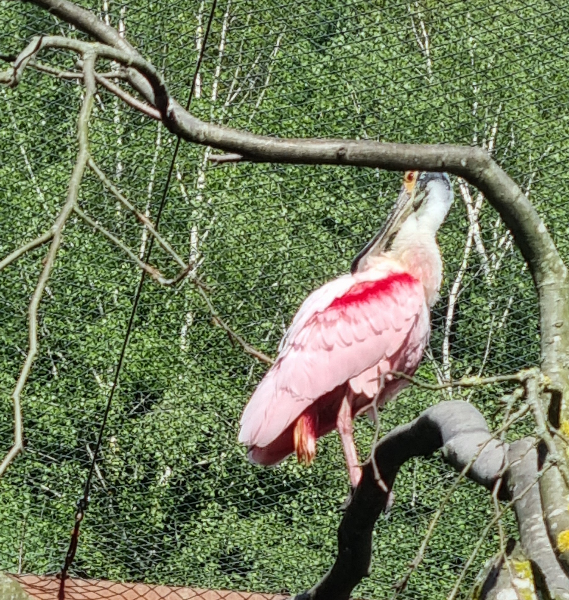 Photo n° 6 de l'avis de Anne.a fait le 25/04/2022 à 13:04