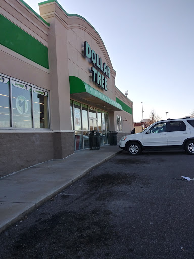 Dollar Store «Dollar Tree», reviews and photos, 7941 E Shelby Dr, Memphis, TN 38125, USA