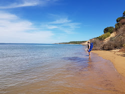 Cape Woolamai Beach'in fotoğrafı çok temiz temizlik seviyesi ile