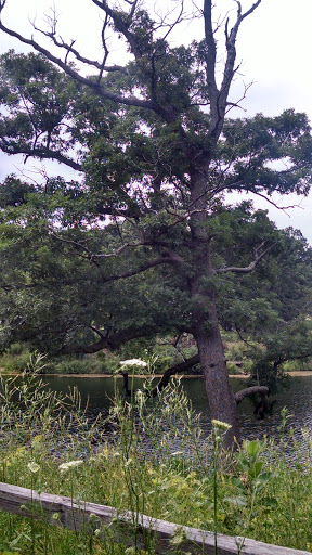 Nature Preserve «Lakewood Forest Preserve», reviews and photos, 27277 N Forest Preserve Rd, Wauconda, IL 60084, USA