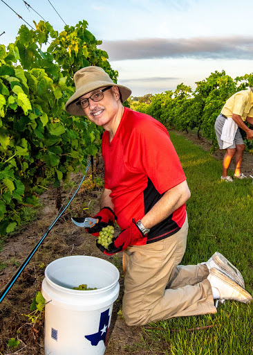 Winery «The Nice Winery», reviews and photos, 2901 West Sam Houston Pkwy N C-260, Houston, TX 77043, USA