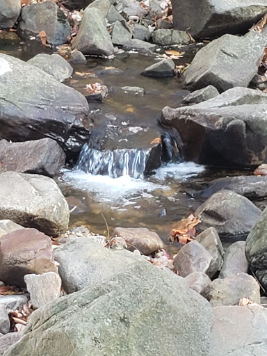 Park «Bringhurst Woods Park», reviews and photos, 5001 Washington Street Extension, Wilmington, DE 19809, USA