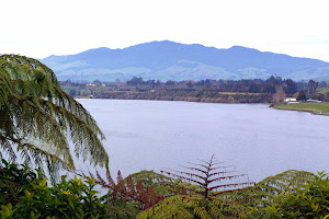 Sanctuary Mountain - Maungatautari image