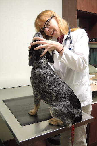 VCA East Mill Plain Animal Hospital
