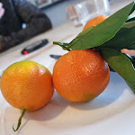 Photo n°1 de l'avis de Greta.o fait le 08/01/2020 à 18:55 sur le  Trattoria Sole à Milan