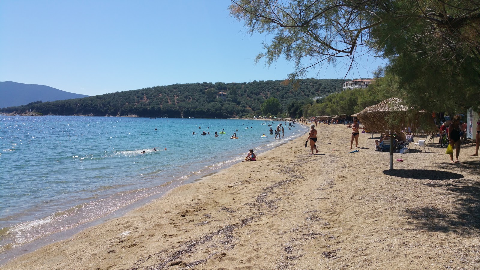 Foto de Lefki beach com água verde clara superfície