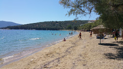 Lefki beach'in fotoğrafı #43 ile birlikte