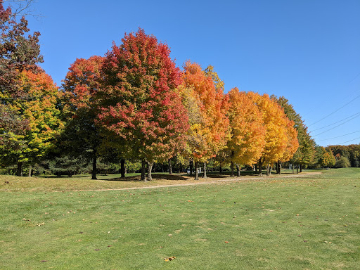 Wedding Venue «Golden Hawk Golf & Banquets», reviews and photos, 9861 Meisner Rd, Casco, MI 48064, USA