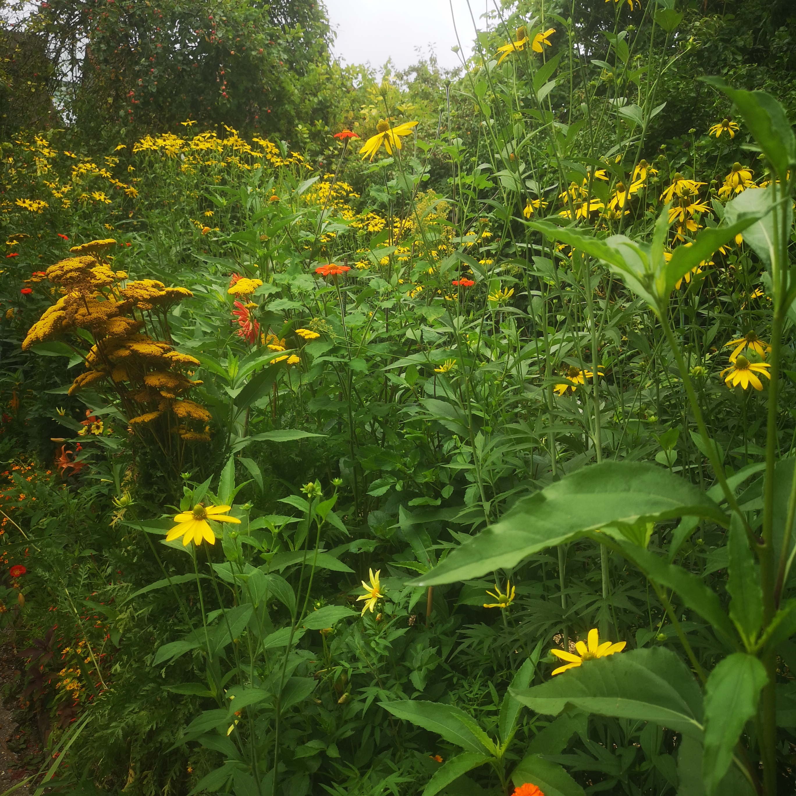 Photo n° 4 de l'avis de Oli.r fait le 28/07/2023 à 09:04