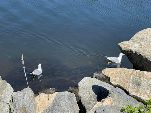 History Museum «Battleship Cove», reviews and photos, 5 Water St, Fall River, MA 02721, USA