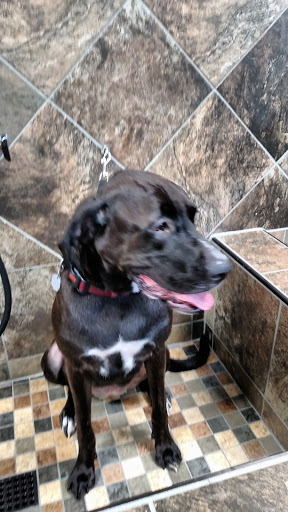 Pet Store «Pet Valu», reviews and photos, 63 Eastern Blvd N, Hagerstown, MD 21740, USA