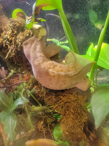 Pet Store «The Pet Works», reviews and photos, 407 4th Ave E, Olympia, WA 98501, USA