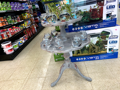 Tropical Fish Store «Lovely Pets Aquarium Store», reviews and photos, 69 Parkingway, Quincy, MA 02169, USA