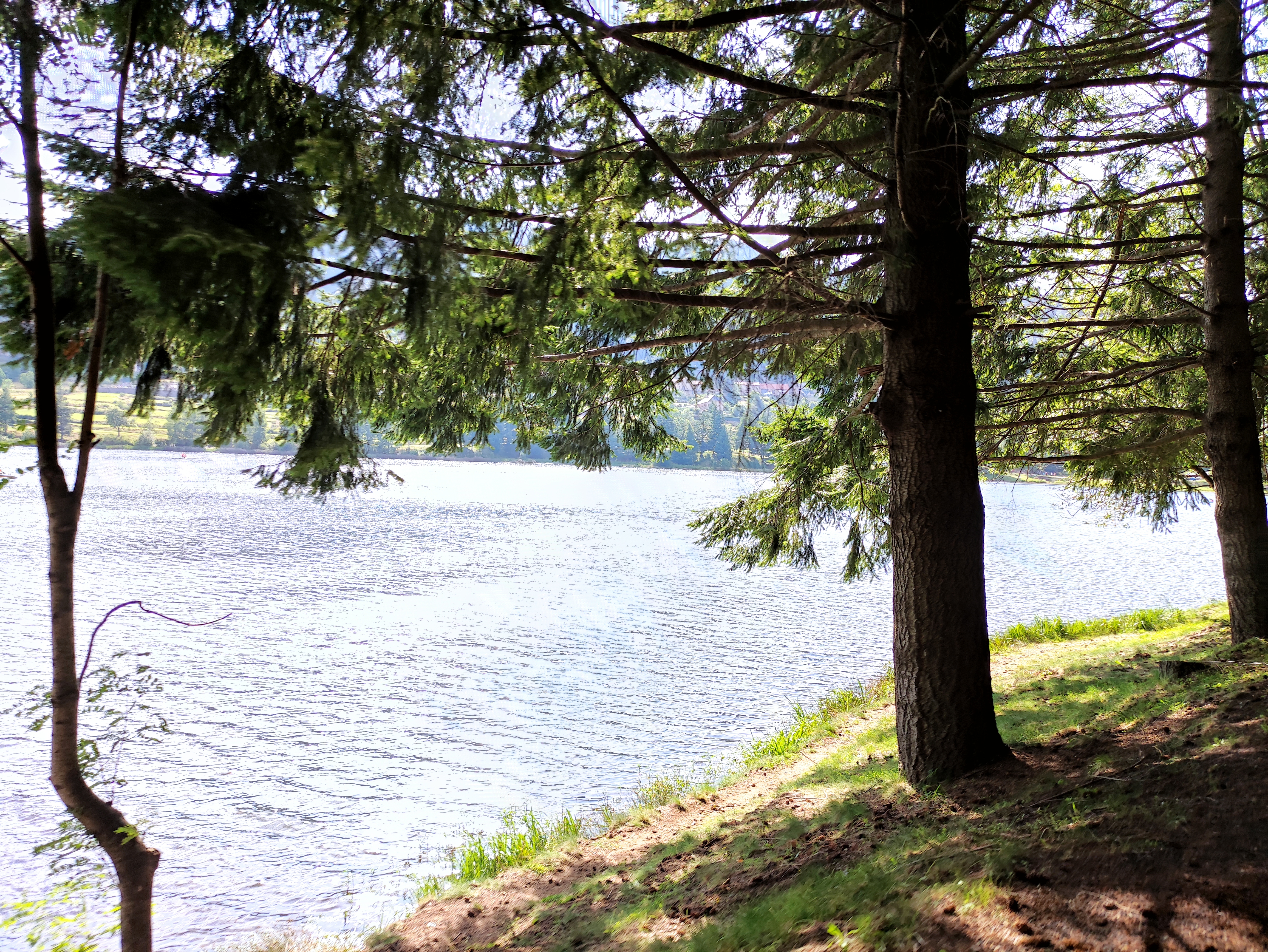 Photo n° 1 de l'avis de Marie.e fait le 18/07/2021 à 15:51