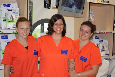 Clinique Vétérinaire ALIMAVET à Lunéville