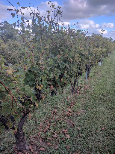 Wine Store «Nassau Valley Vineyards-Winery», reviews and photos, 32165 Winery Way, Lewes, DE 19958, USA