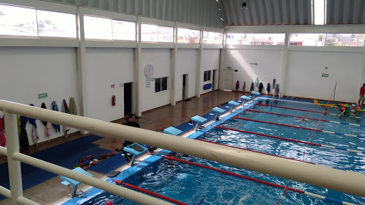 Club de natación Santiago de Querétaro