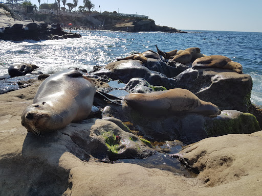 Clothing Store «Brooks Brothers», reviews and photos, 1055 Wall St, La Jolla, CA 92037, USA