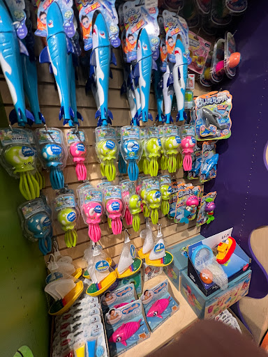 Toy Store «Kazoo & Company Toy Store», reviews and photos, 8500 Peña Blvd, Denver, CO 80249, USA