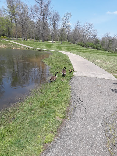 Public Golf Course «Beech Creek Golf Course», reviews and photos, 1831 Hudepohl Ln, Cincinnati, OH 45231, USA