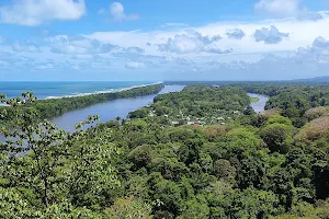 Parque Nacional Tortuguero image