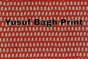 Yusuf Bagh Print image