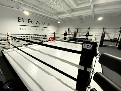 Brave Martial Arts Institute Inc.