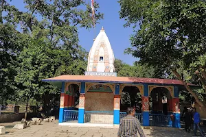 Jhunji Maharaj Temple image