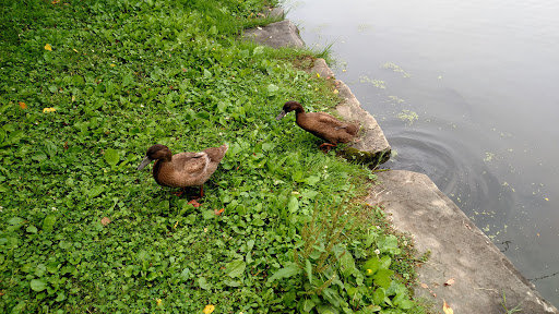 Park «East Palestine City Park», reviews and photos