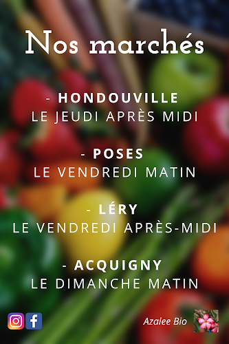 Fruits et legumes bio AZALEE à Val-de-Reuil