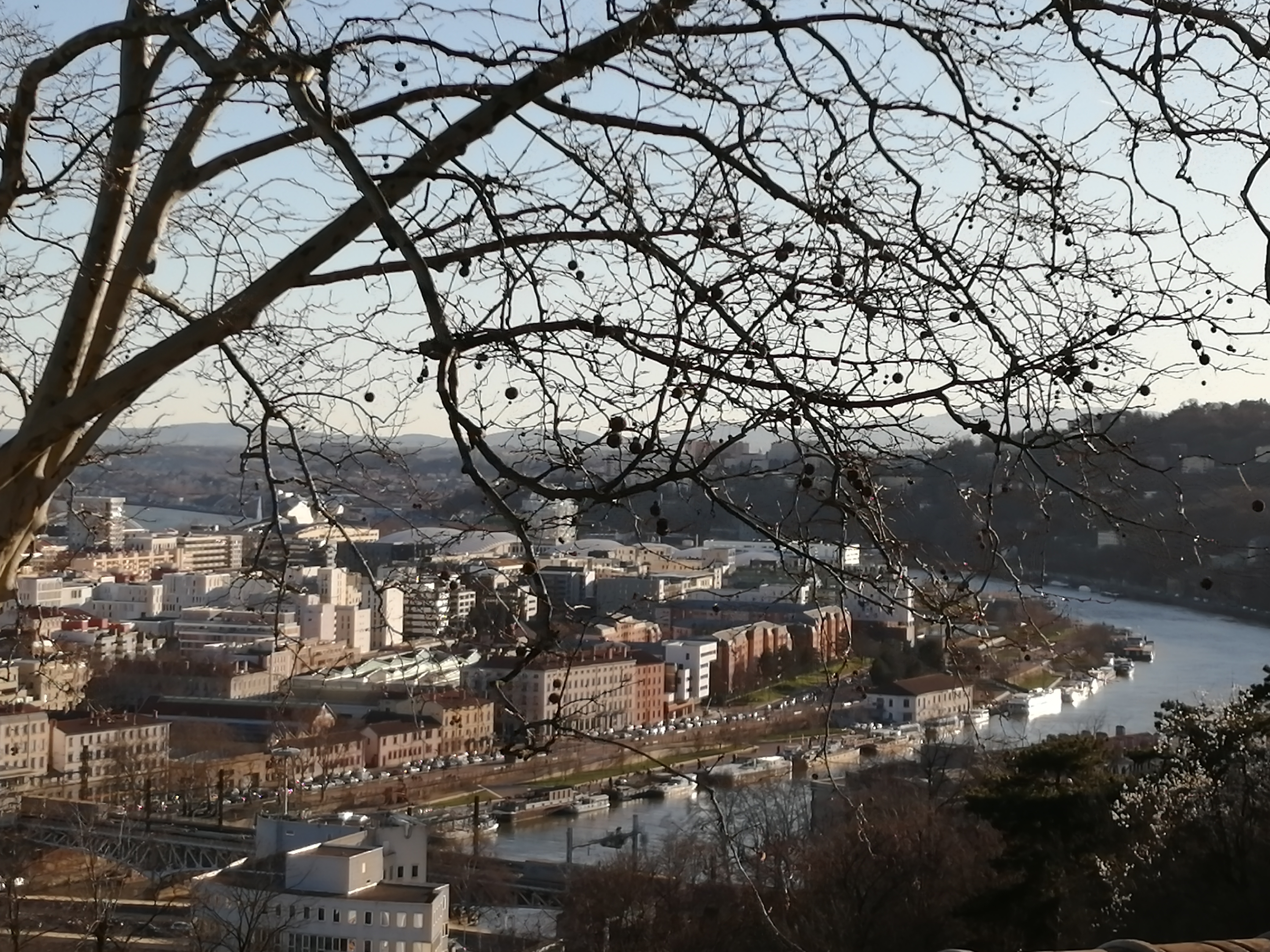 Photo n° 3 de l'avis de Ada.n fait le 16/02/2020 à 13:31