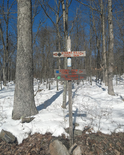 Ski Resort «High Point Cross Country Ski Center», reviews and photos, 1480 NJ-23, Sussex, NJ 07461, USA