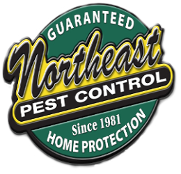 Northeast Pest Control image 2