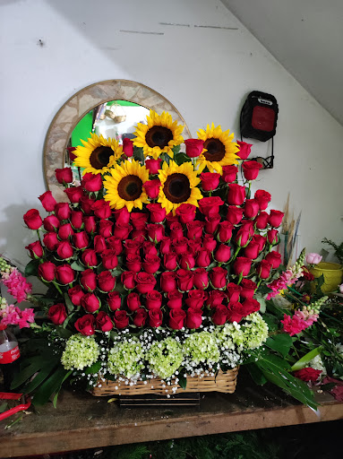 Florería Orquídeas – Papantla