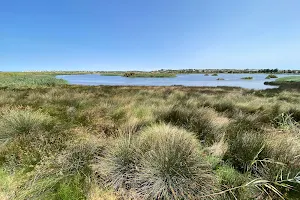 Bird watching Lagoa dos Salgados image