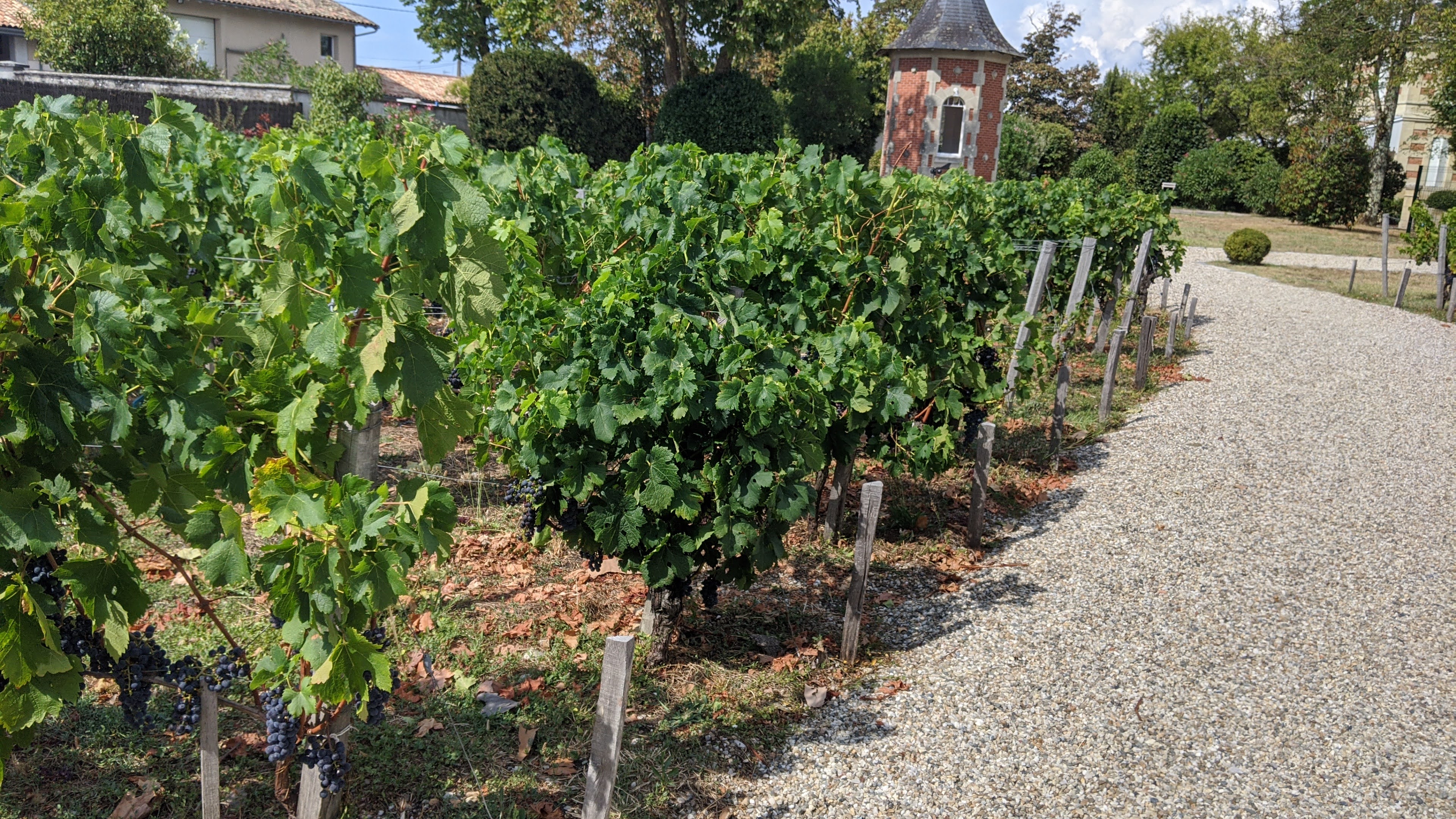 Photo n° 3 de l'avis de Alexandre.a fait le 12/08/2020 à 15:44