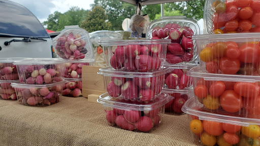 Grocery Store «Rockmart Farmers Market», reviews and photos, Water St, Rockmart, GA 30153, USA