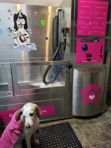 Pet Groomer «Belly scRubs Self Service Pet Wash», reviews and photos, 119 WV-34 #1, Hurricane, WV 25526, USA