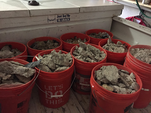 Plumber «The Plumbing Service», reviews and photos, Park Springs Blvd, Arlington, TX 76013, USA