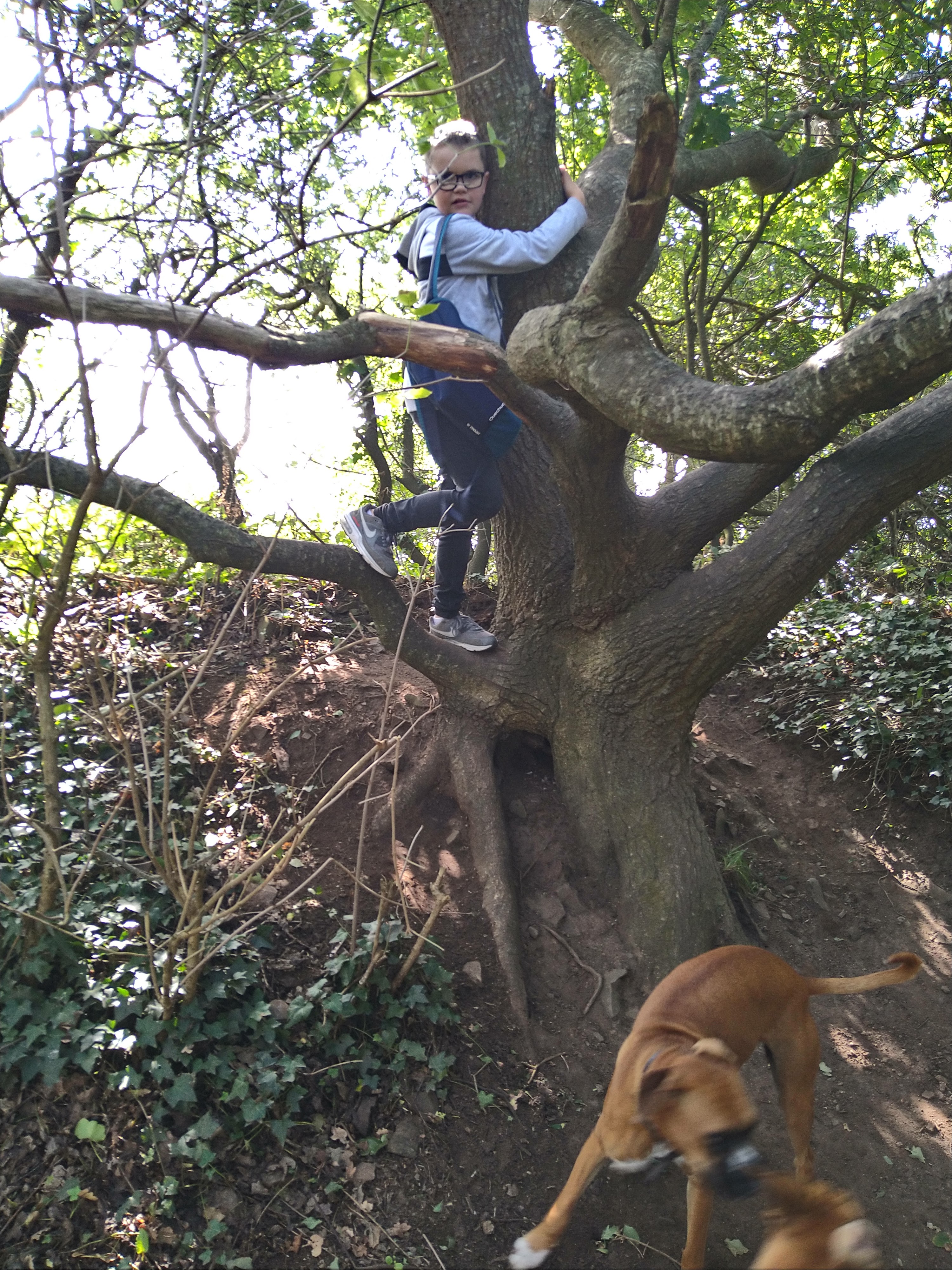 Photo n° 4 de l'avis de sylvain.a fait le 26/08/2020 à 13:01
