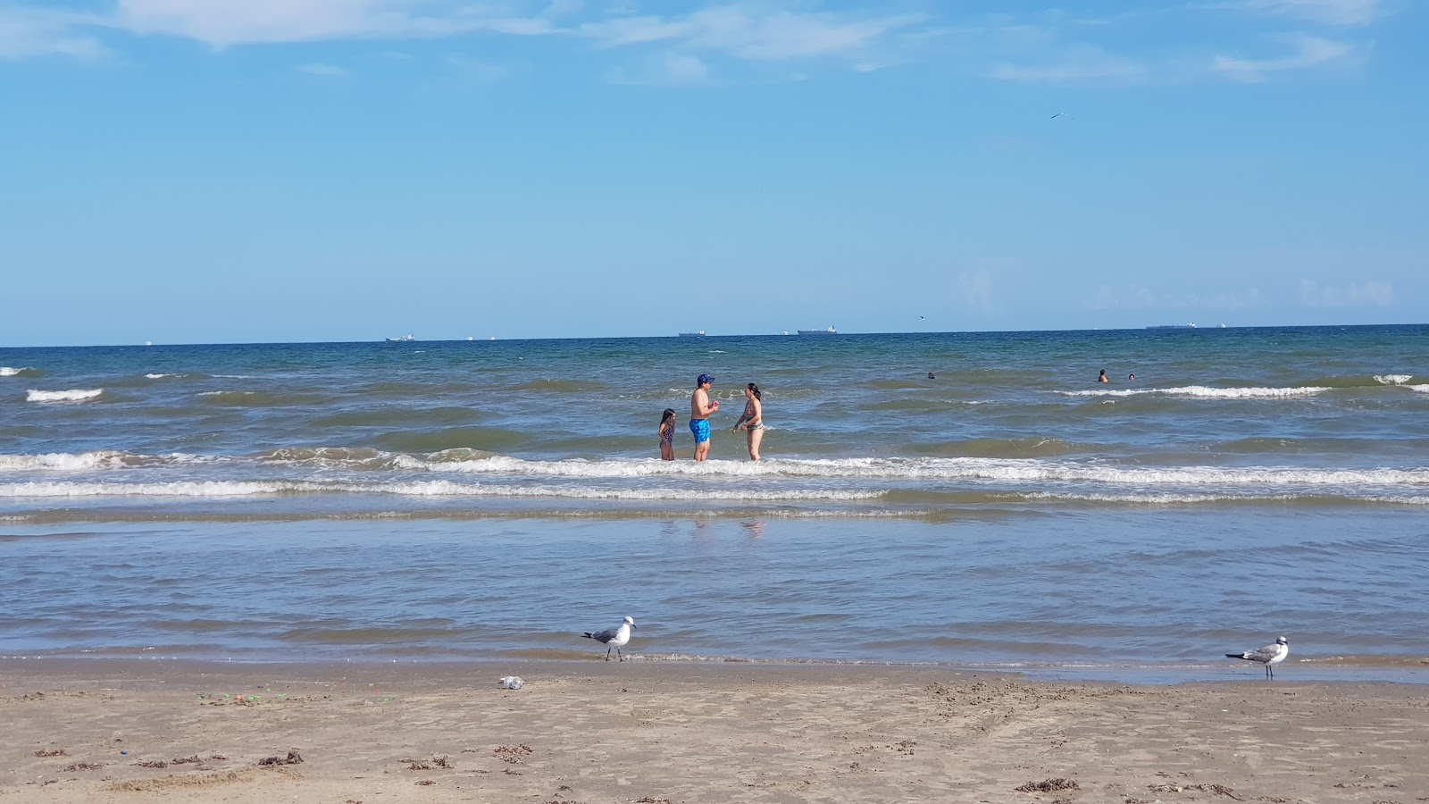 Stewart beach'in fotoğrafı - tatil için iyi evcil hayvan dostu nokta