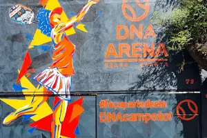 DNA Arena Beach Sports image