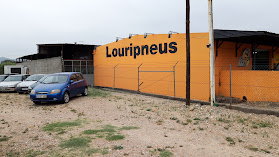 Louripneus-Comércio De Pneus, Unipessoal, Lda.
