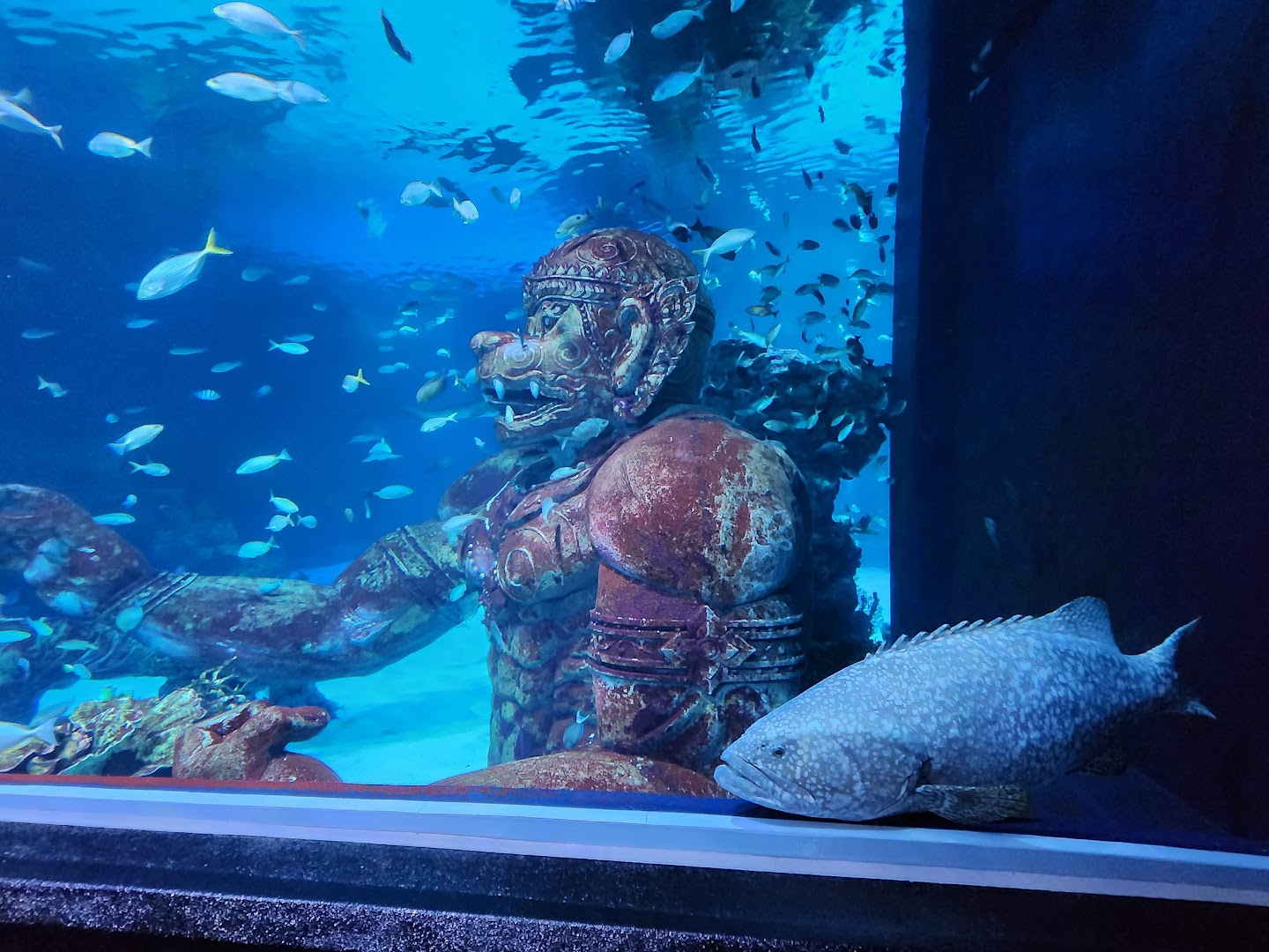 Aquaria Phuket, Phuket