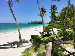 Nicholls Town beach'in fotoğrafı düz ve uzun ile birlikte