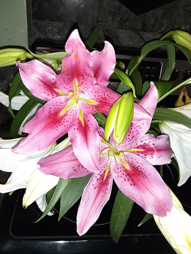 Florist «My Flower Shop», reviews and photos, 4015 W Point Loma Blvd, San Diego, CA 92110, USA