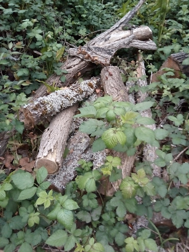 Market «La Honda Market», reviews and photos, 8865 La Honda Rd, La Honda, CA 94020, USA